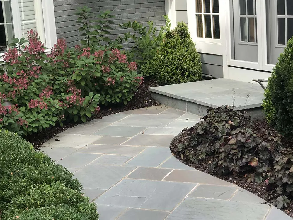 Front Entrance and Driveways: color example
